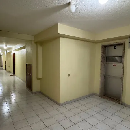 Daire Plume Tree House *